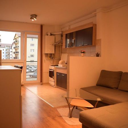 Apartament Alexandru Διαμέρισμα Σίμπιου Εξωτερικό φωτογραφία