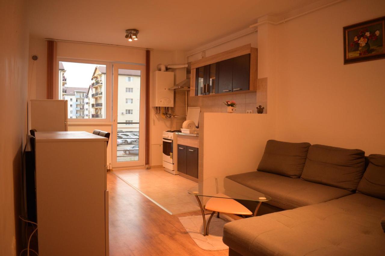 Apartament Alexandru Διαμέρισμα Σίμπιου Εξωτερικό φωτογραφία