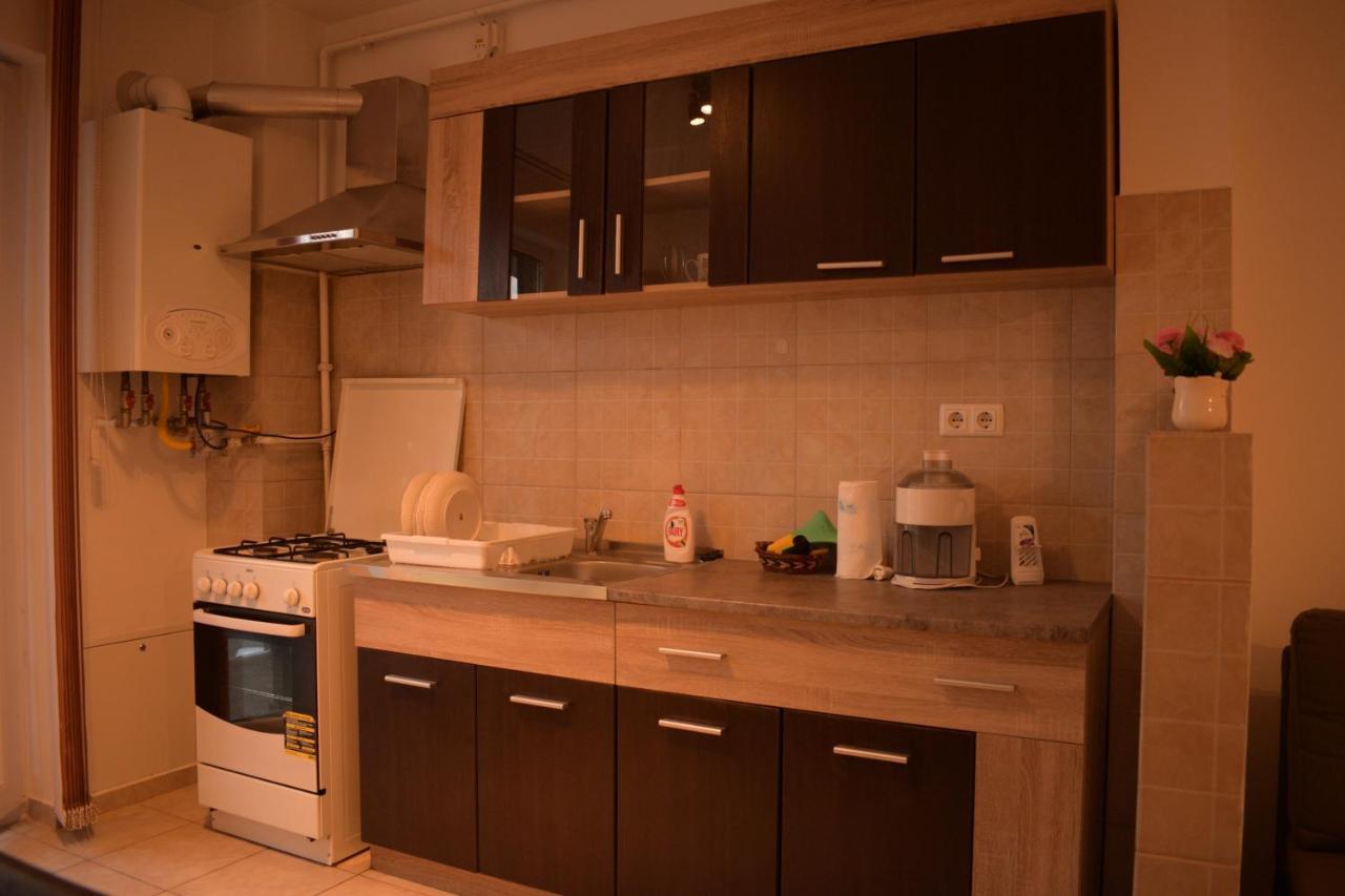 Apartament Alexandru Διαμέρισμα Σίμπιου Εξωτερικό φωτογραφία