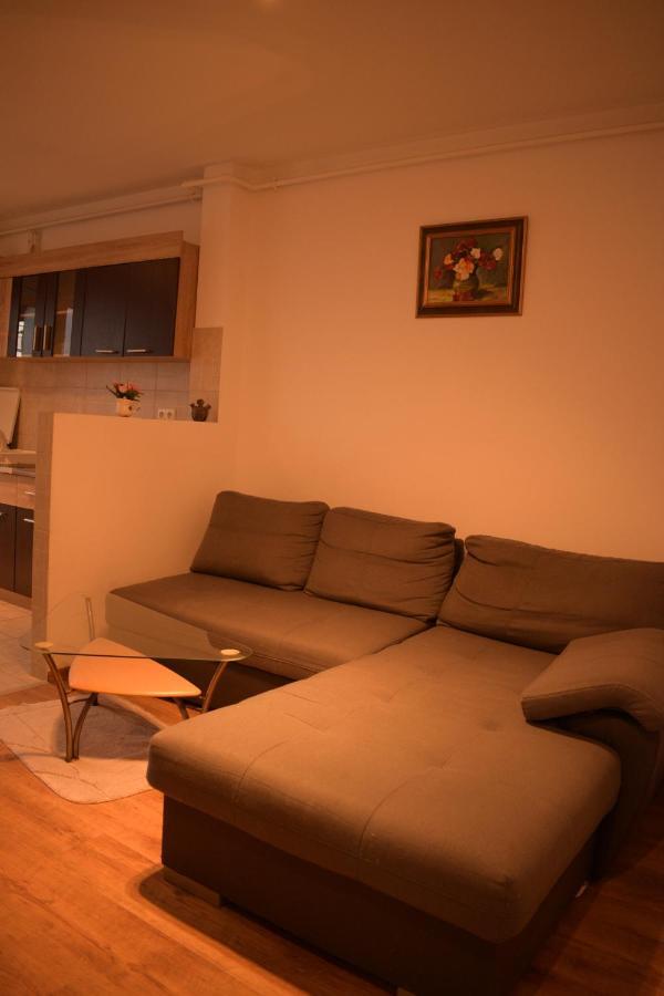Apartament Alexandru Διαμέρισμα Σίμπιου Εξωτερικό φωτογραφία